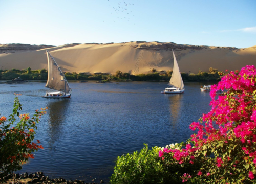 Full Day Felucca Sailing in Aswan
