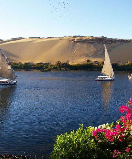 Full Day Felucca Sailing in Aswan