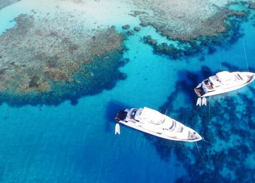 Snorkeling by Boat to Ras Mohamed